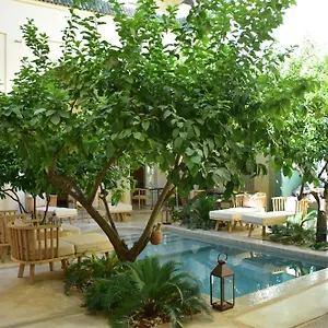 **** Guest house Emberiza Sahari Morocco